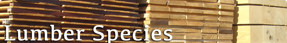 Lumber Species